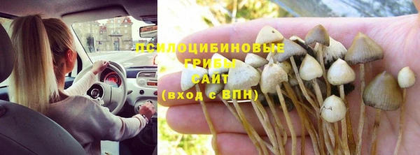 таблы Липки